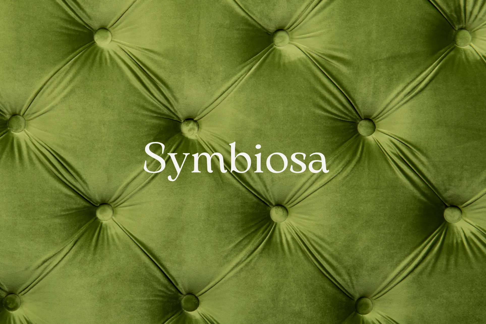 Symbiosa – FAKE TEST