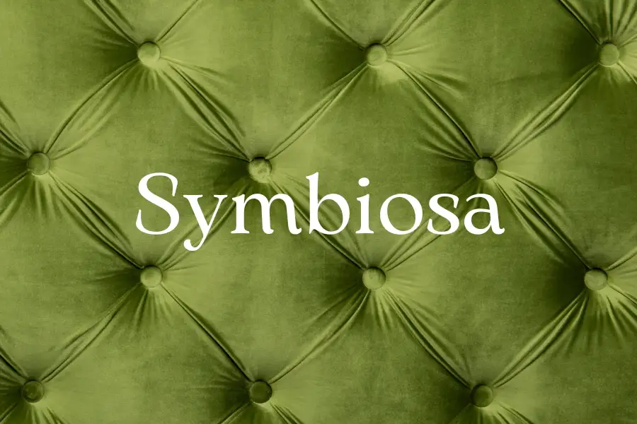 Symbiosa